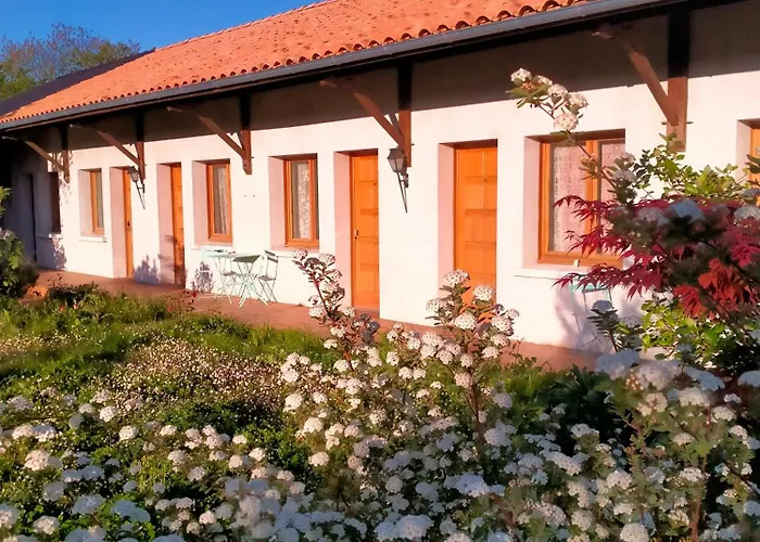 Bed & Breakfast L'oree Du Bois - Independante Vouzan